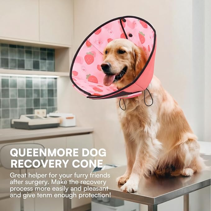 Queenmore Dog Cone, Dog Cones for Small Dogs, Adjustable Soft Cone for Dogs Recovery Collars & Cones, Comfortable Pet Cone After Surgery for Wound Healing, Strawberry S