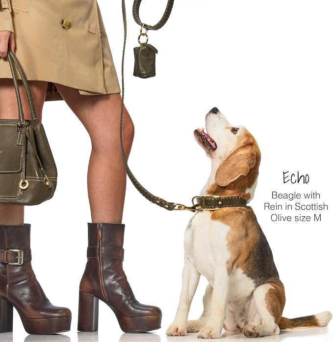 Rein - The Recycled Vegan Leather Pouch Durable Heavy Duty Bag Holder, Leash Attachment Made With Sustainable Materials, Custom Hardware for Small, Medium & Large Dogs, Chocolate Espresso