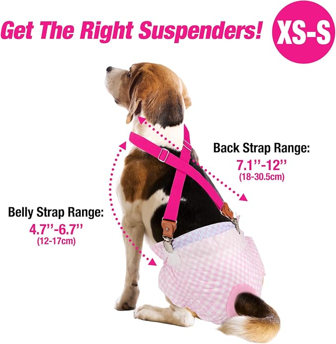 Pet Soft Dog Belly Bands Camo XS + Dog Suspenders 2 Pieces XS