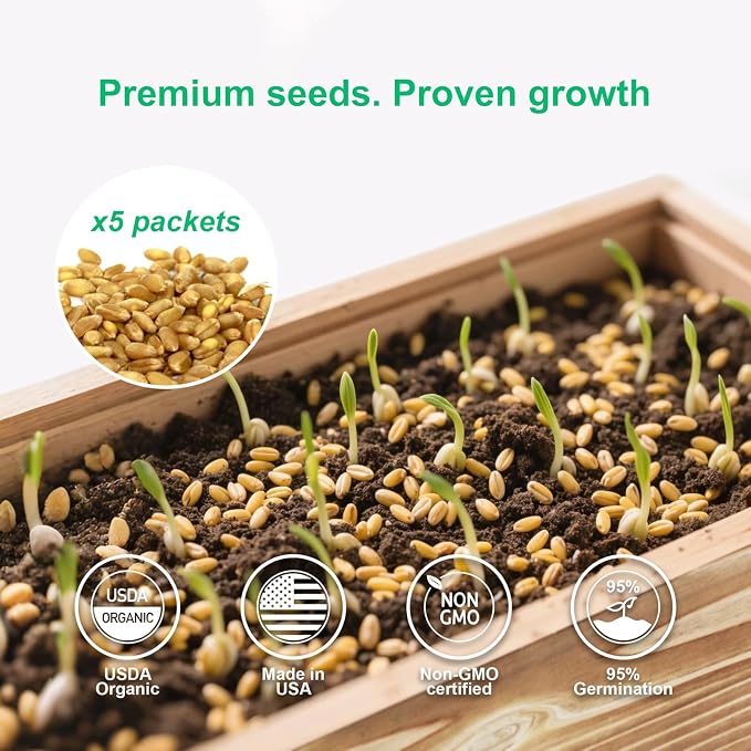 Cat Grass for Indoor Cats – x5 Seed Packets | Cat Grass Seeds with Wooden Planter, Soil & Mini Gardening Tools for Nipping– Pet Wheatgrass Grass, Gifts for Cat Lovers