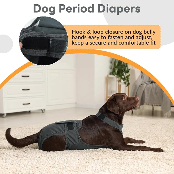 IDOMIK Reusable Female Dog Diapers, Washable Dog Period Diapers with Adjustable Suspenders, Leakproof Escape-Proof Sanitary Panties for Dogs in Heat Cycle, Incontinence, or Senior Dogs,Grey,L