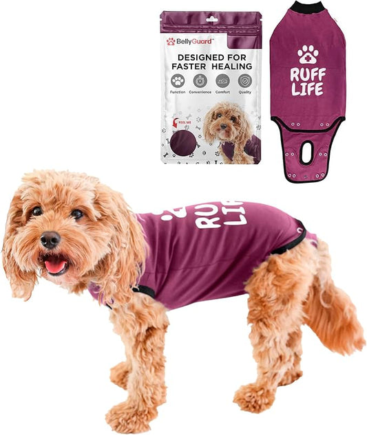 BellyGuard Dog Surgery Recovery Suit, Post-Op Dog Recovery Suit for Female Spay & Male Neuter, Comfy Onesie for Pets, Surgical Body Cover for Canine Healing Support