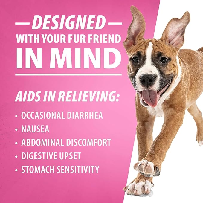 Jeffers Pet Diawin Dog Digestive Support Tablets, Veterinary Formulated, Bismuth Tummy Relief for Diarrhea for Dogs, Stool Firming, Gut Health, Made in USA - 50 Tablets