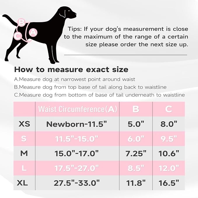 Paw Legend Washable Reusable Female Dog Period Diapers for Heat Doggie Puppy Diapers for Female Dogs (3 Pack, Large)