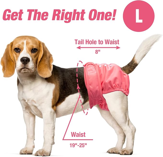 Pet Soft Washable Female Diapers (3 Pack) Female Dog Diapers, Comfort Reusable Doggy Diapers for Girl Dog in Period Heat (Sprightly, L)
