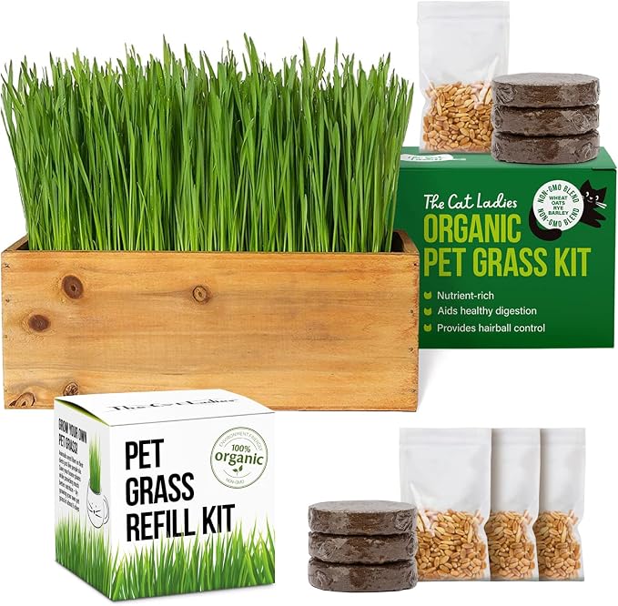 TCL Natural Wooden Planter Cat Grass Kit with Refill