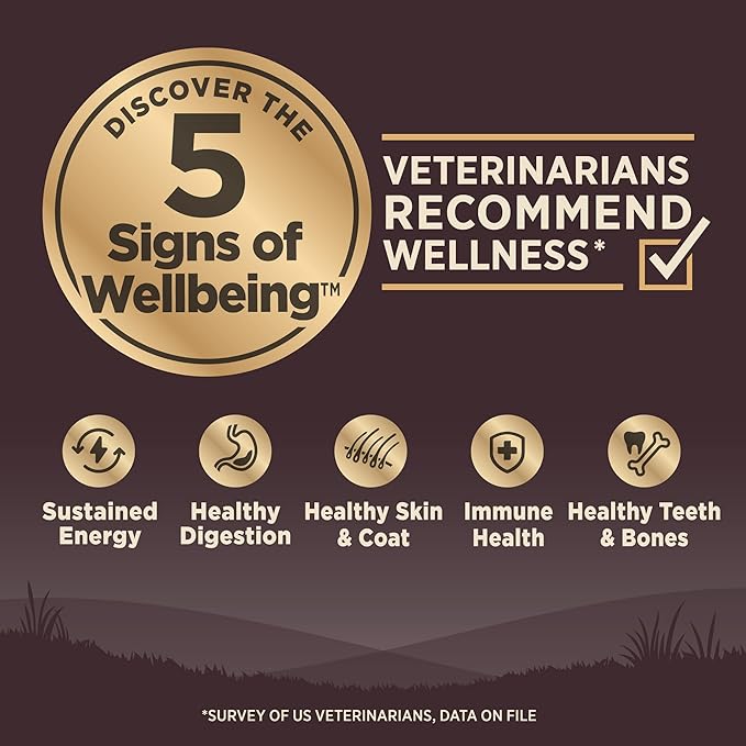 Wellness CORE Adult Dry Dog Food, Grain Free Kibble, Natural, High Protein, Lamb Recipe, 4 lb Bag