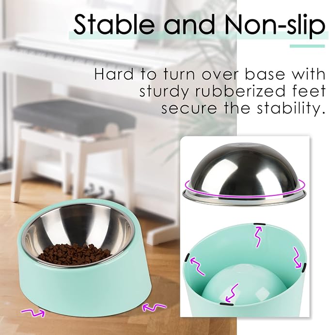 SuperDesign Mess Free 15° Slanted Bowl for Dogs and Cats, Tilted Angle Bulldog Bowl Dog Feeder, Non-Skid & Non-Spill, Easier to Reach Food L/2 Cup Teal