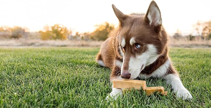 peaksNpaws Yak Cheese, High Protein, Himalayan Dogs Chews, Natural Dog Treats, Lactose Free, Long Lasting Dogs Treat for Aggressive Chewers Under 55 lbs 20 Large Chew Sticks, 5 lb Bag