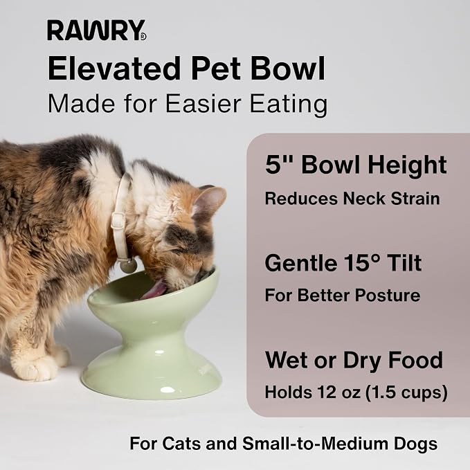 RAWRY Raised Ceramic Cat Bowl, Elevated Tilted Cat Bowl, Wide Shallow Cat Dish, Whisker Fatigue Cat Bowl, Dishwasher & Microwave Safe for Wet or Dry Food, Cats & Small Dogs, 12 oz (Plum)