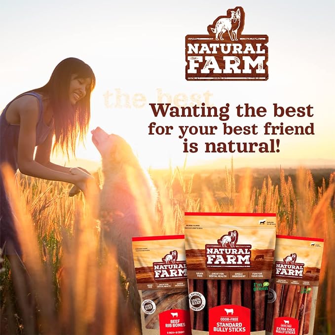Natural Farm Odor-Free Braided Bully Sticks (6 Inch, 10 Pack) - 100% Grass-Fed Beef, Grain-Free, Low Fat & Fully Digestible Dental Treats - Safest Long Lasting Pizzle Chews to Keep Your Dog Busy