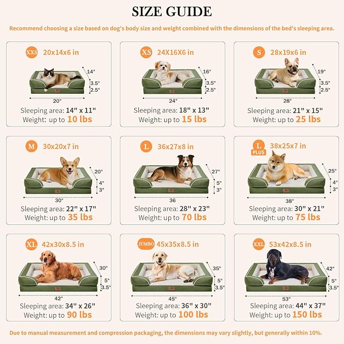 Comfort Expression Orthopedic Dog Bed for Large Dogs 36x27 Inch, Waterproof Supportive Egg Crate Foam Large Pet Bed with Removable Bolster, Dog Couch with Washable Cover & Non-Slip Bottom, Light Green