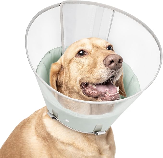 Dog Cone Collar with Snap-on Detachable Soft Liner, Lightweight Transparent Elizabethan Alternative to Stop Licking, for Spay Neuter Surgery Recovery, for Medium Large Small Dogs (Green,XS)