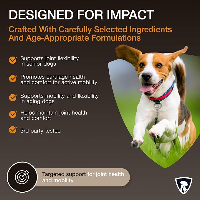NutraRegen Dog Joint Supplement 45 Scoops | Natural Glucosamine Chondroitin for Dogs with Collagen | Hip and Joint Powder | 7.7 Oz