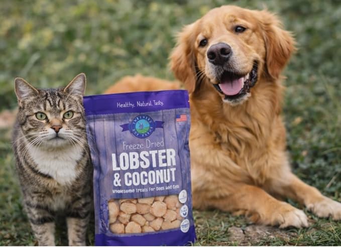 Shepherd Boy Farms Freeze Dried Dog and Cat Treats, Lobster & Coconut, All Natural Freeze-Dried Dog Treat & Snacks, Made in USA, Two Ingredients, High in Protein, 2oz
