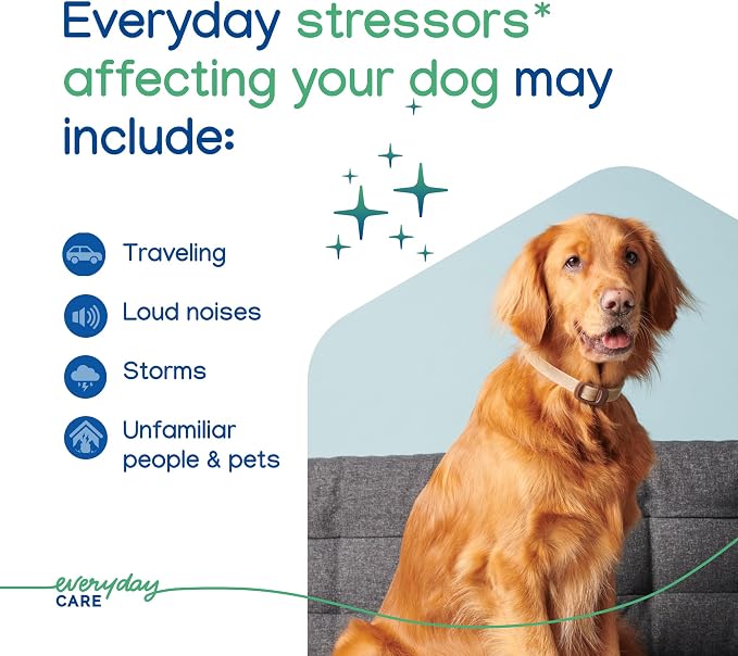 Virbac ZENIDOG® Long-Acting Collar for Dogs | Calming Pheromone Collar for Stress Relief, Medium/Large Dog - Lasts up to 3 Months