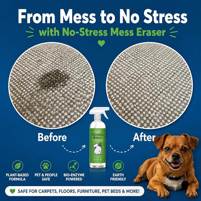 No-Stress Mess Eraser – Dog & Cat Urine Stain & Odor Remover, 2-Pack 32 oz, Enzyme Bio-Active Cleaner for Carpet, Upholstery & Car Seats, Helps Remove Pet Smell from Home & Car, Grapefruit & Thyme