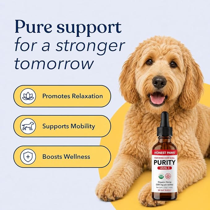 Honest Paws Hemp Oil for Dogs - Natural Hemp Seed Oil Drops Rich in Omega 3 6 9 - May Help Support Calm Behavior, Physical Comfort & Overall Wellness - Made in USA