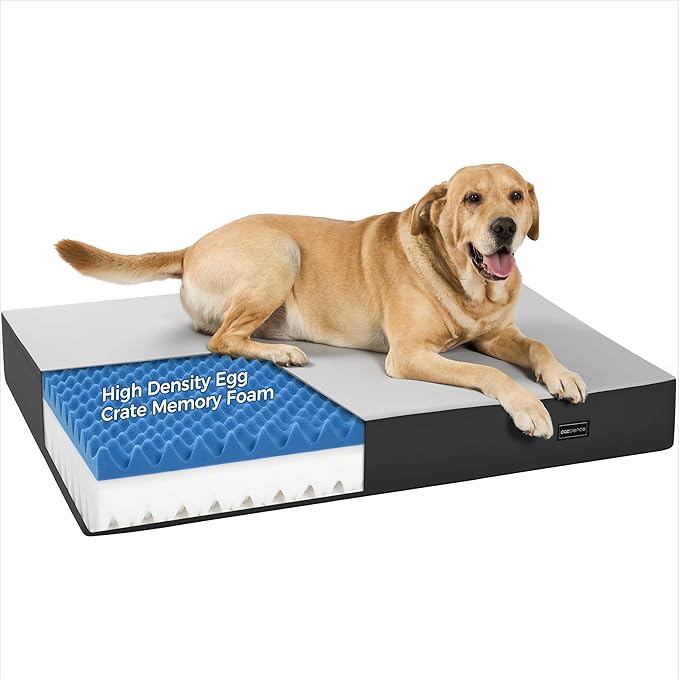 5 Inch Thick Orthopedic Dog Bed for Medium & Large Dogs, High Density Egg Crate Memory Foam with Support Foam, Waterproof Liner & TPU, Removable Washable Cover, Nonskid Bottom, 36"x27"x5", Grey