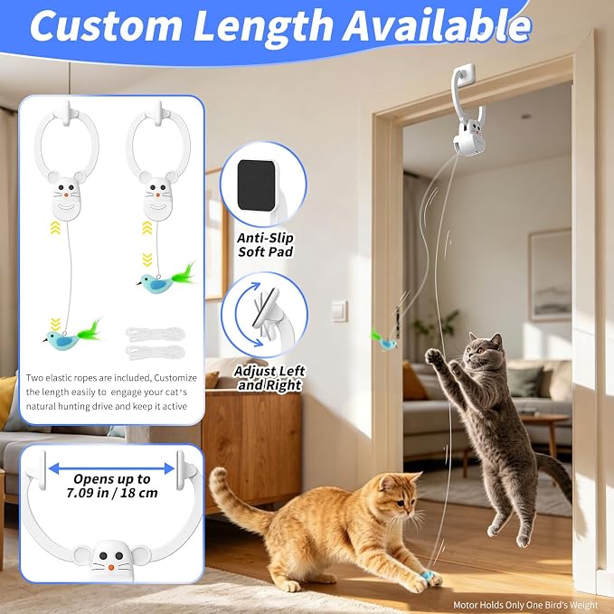 Interactive Cat Toys for Indoor Cats, Door-Hanging Automatic Flying Bird Feather Toy, USB Rechargeable Smart Cat Toy, Safe for Chase and Exercise, Relieves Bored for Kittens and Adult Cats