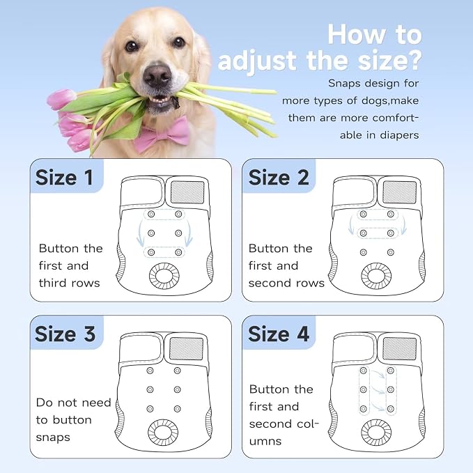 Paw Legend Washable Reusable Female Dog Period Diapers for Heat Doggie Puppy Diapers for Female Dogs (3 Pack, Medium)