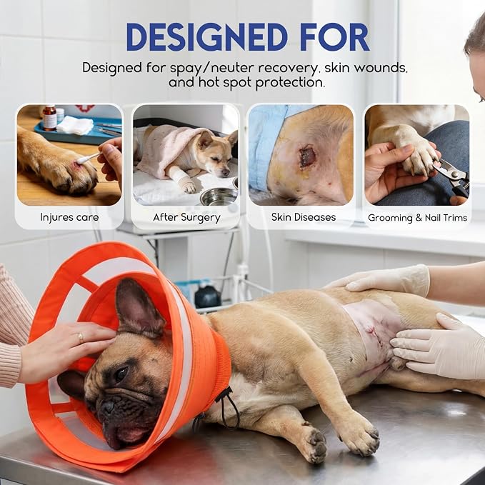 ASENKU Dog Cone Collar, Protective Recovery Dog Collar After Surgery, Comfy Adjustable Cone for Dogs to Stop Licking, Pet E-Collar for Small, Medium & Large Dogs(Orange, L)