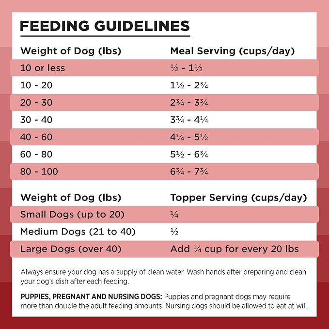 BIXBI Liberty Freeze-Dried Dog Food Topper & Treats, Beef – 98% Meat & Organs, No Refrigeration – USA Made, 26 oz