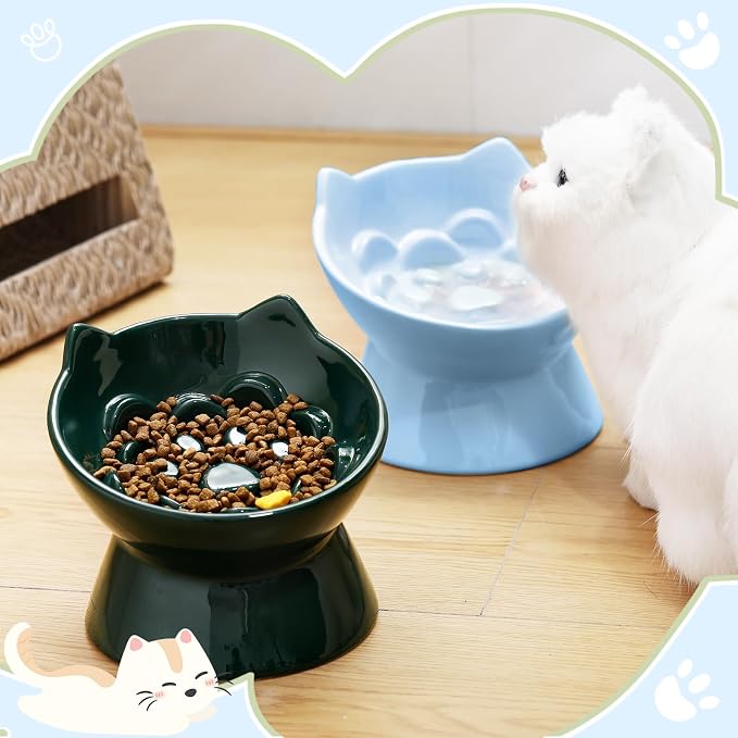 Funnymoom 2 Pcs Ceramic Raised Slow Feeder Cat Bowl, 5.91inch Elevated Cat Slow Feeder Bowl Tilted Anti Vomiting for Dry Wet Food and Water Easy to Clean High Edge(Dark Green, Blue)