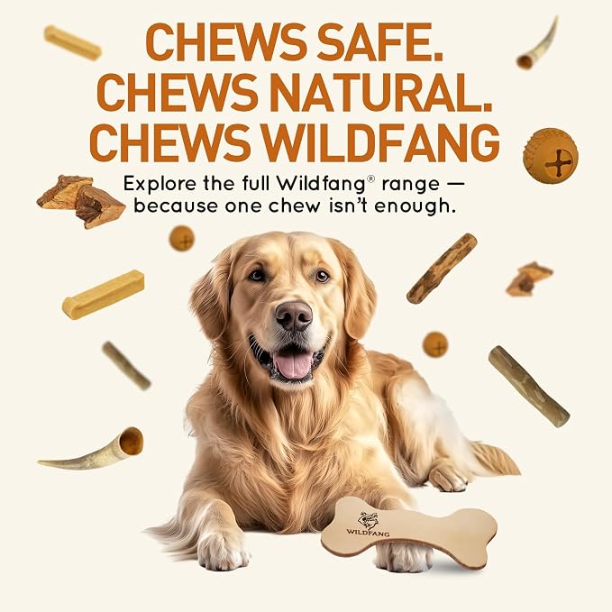 Wildfang® Coffee Wood Dog Chew, Large – Tough Chew Toys for Aggressive Chewers, Dog Teething Toys for Puppies, Training for Chewing Muscles, Coffee Tree Sticks for Large Dogs (55–99 lbs), Pack of 3
