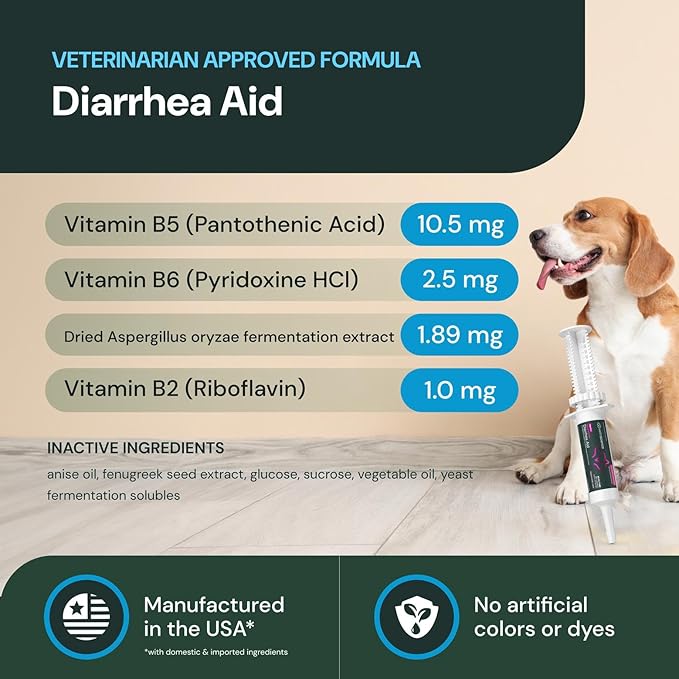 VetriScience Quick Action Diarrhea Aid Paste - Occasional Diarrhea Support for Pets - Probiotic Formula for Nervous Guts - Digestive Support Supplement - Unflavored - 60 cc