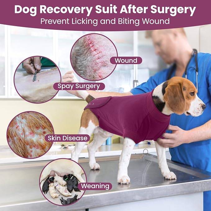 IDOMIK Dog Recovery Suit for Female Spay - Adjustable Anti-Licking Dog Post Surgery Onesie, Male Female Dogs Neuter Spay Suits, Soft Abdominal Wound Bandage & E-Collar Cone Alternative