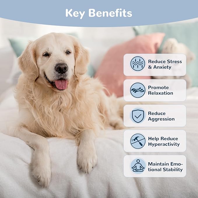 Dog Calming Chews, Calming Chews for Dogs with Natural Plant Extracts for Fireworks, Storms, Thunder, Barking, Separation, 200 Count