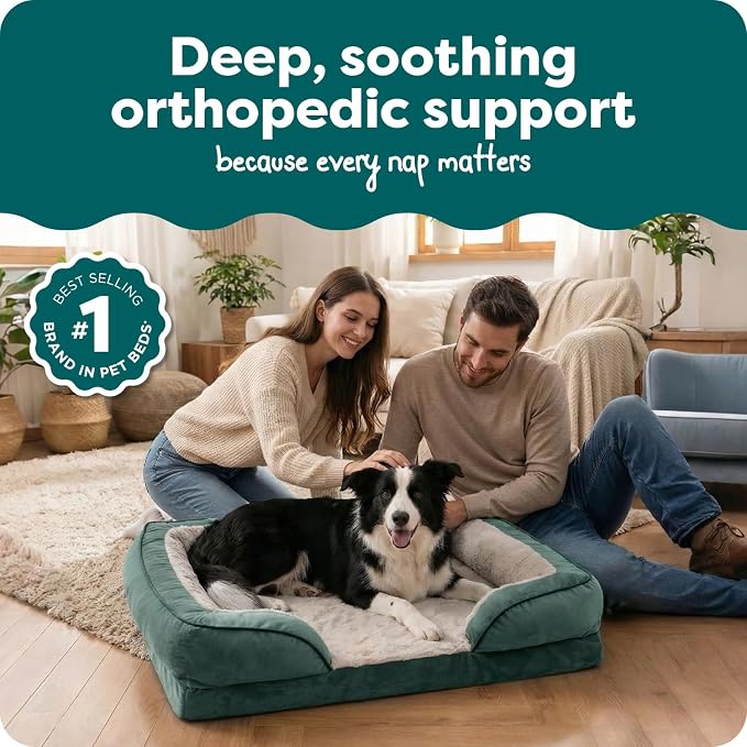 Furhaven Orthopedic Dog Bed for Large/Medium Dogs w/ Removable Bolsters & Washable Cover, For Dogs Up to 55 lbs - Plush & Velvet Waves Perfect Comfort Sofa - Celadon Green, Large