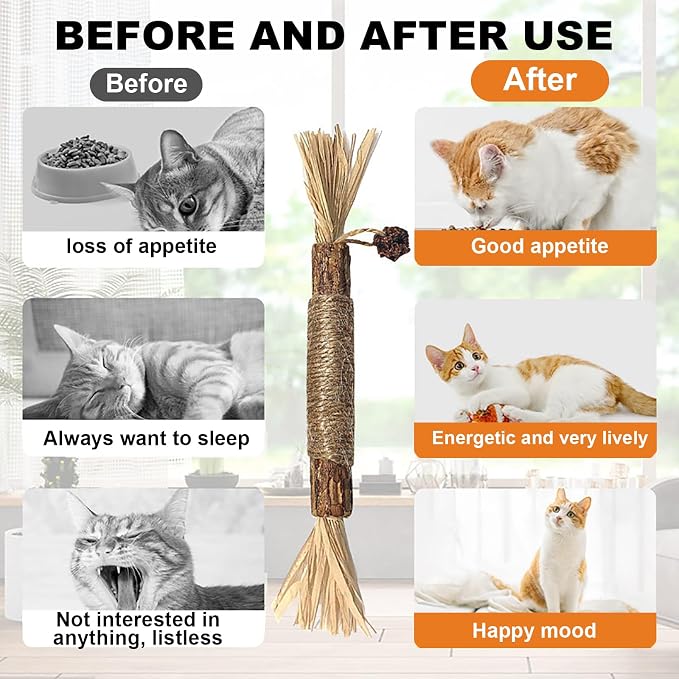 Natural Silvervine Dental Sticks, Natural Silvervine Sticks for Cats, Cleaning Dental, Scratch and Bite Resistant, Calm Cat Boring, for Indoor Kitty Interactive Kitten Chew Playthings (5Pcs)
