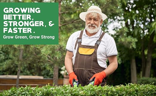 Gardenwise 6-6-6 All-Purpose Professional Plant Food Fertilizer; Ideal for Winter Care & Spring Feeding, Perfect Balanced NPK for Indoor and Outdoor Plants (2 QUARTS)