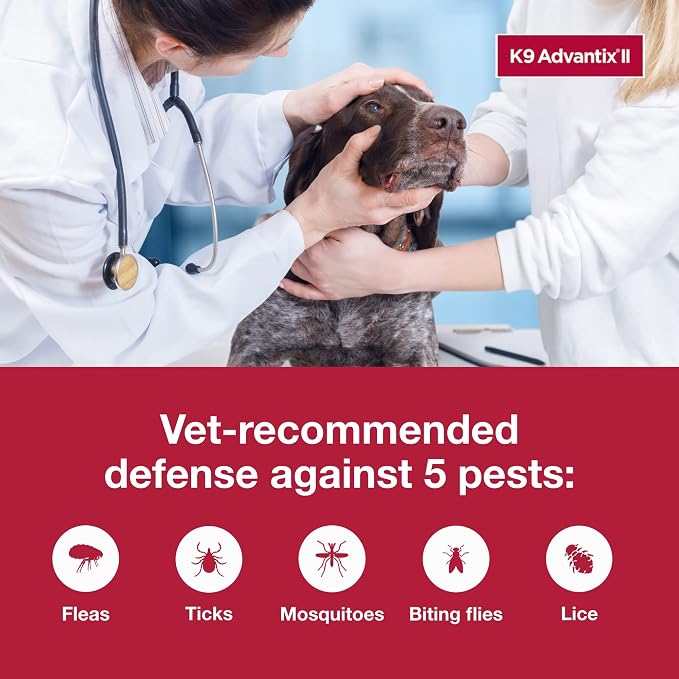 K9 Advantix II XL Dog Vet-Recommended Flea, Tick & Mosquito Treatment & Prevention | Dogs Over 55 lbs. | 1-Mo Supply (Pack of 3)