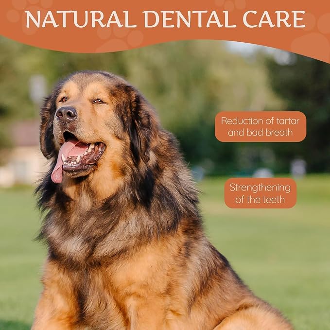 Wildfang® Yak Chews, X-Large for Dogs Over 99 lbs – Dog Dental Chew Stick, Hardness Like Himalayan Yak Cheese, Churpi-Style Cheese Sticks, Dog Treats & Puppy Training Treats, Approx 5 oz, Pack of 3