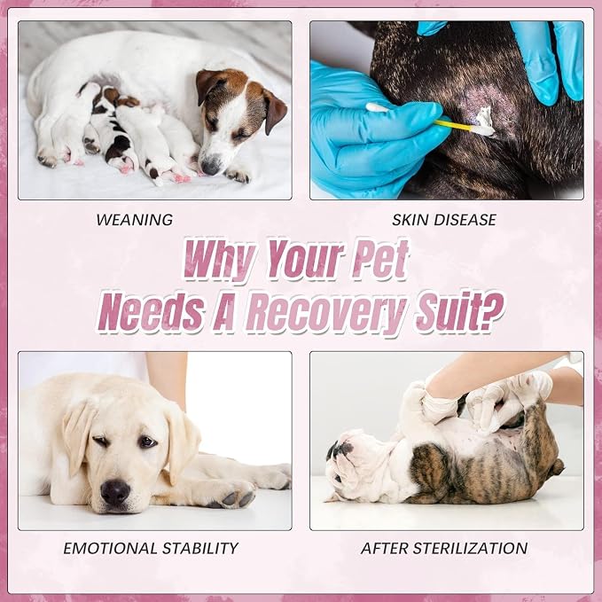 Kuoser Dog Surgery Recovery Suit, Anti Licking Surgical Suit for Dogs Male Neuter, Soft Dog Surgery Suit Female Spay Subsititute E-Collar Cone, Doggie Body Suits After Surgery Pink Tie Dye XS