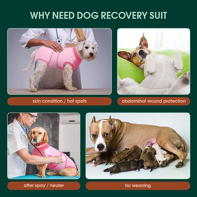 Kuoser Recovery Suit for Dogs, Soft Dog Spay Suit for Female Surgery Recovery, Breathable Dog Neuter Recovery Suit Male, Anti Licking Dog Onesie for Abdominal Wounds Cone Alternatives, Pink 2XL