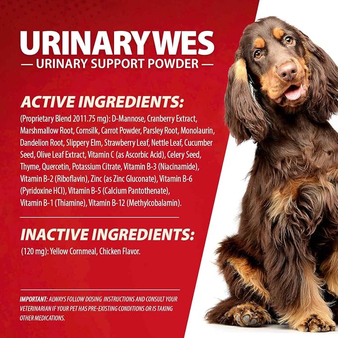 Jeffers Pet UrinaryWes Urinary Support Powder for Dogs & Cats, D-Mannose & Cranberry Supplement for Urinary Tract & Bladder Health, Kidney Support, UTI Prevention, Chicken Flavor Food Topper – 90 g