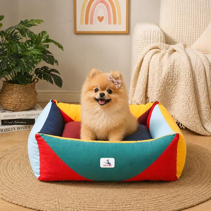 Cotton Canvas Dog Bed, Cute Dog Beds for Small Dogs, Puppy Bed with Washable Removable Cover, Durable 290 GSM Cotton Anti-Chewing Pet Bed with Anti-Slip Bottom (24"x20"x8", Red&Yellow&Green)