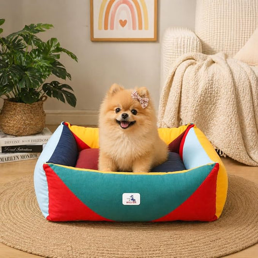 Cotton Canvas Dog Bed, Cute Dog Beds for Small Dogs, Puppy Bed with Washable Removable Cover, Durable 290 GSM Cotton Anti-Chewing Pet Bed with Anti-Slip Bottom (24"x20"x8", Red&Yellow&Green)