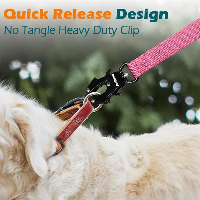 PetBonus Heavy Duty Tactical Dog Leash and 2-Pack Large Silicone Collapsible Dog Bowls