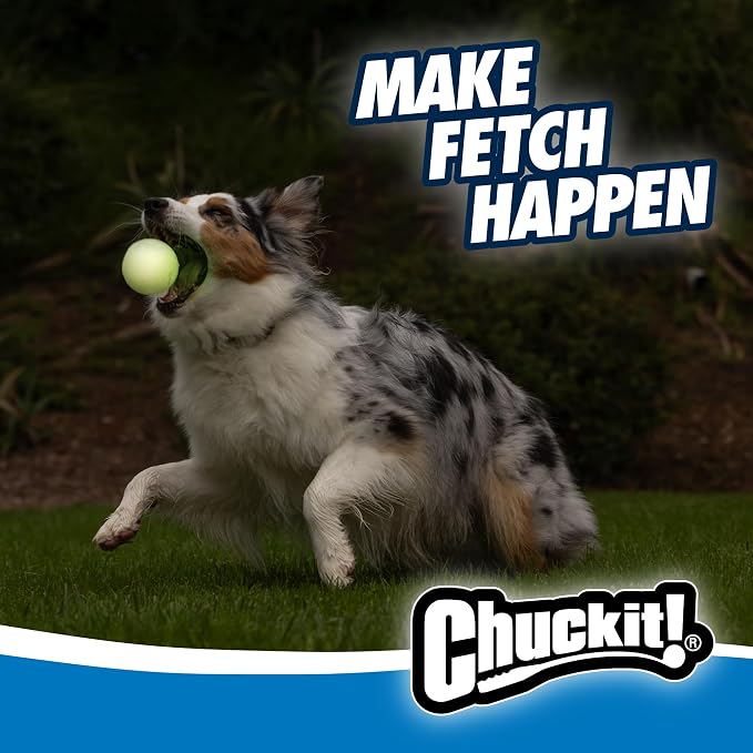 Chuckit! Glow in the Dark Bouncy Balls - Ball for Dogs, Chuckit Dog Toy, Max Glow Balls - Medium, 2.5 Inch Pack of 2