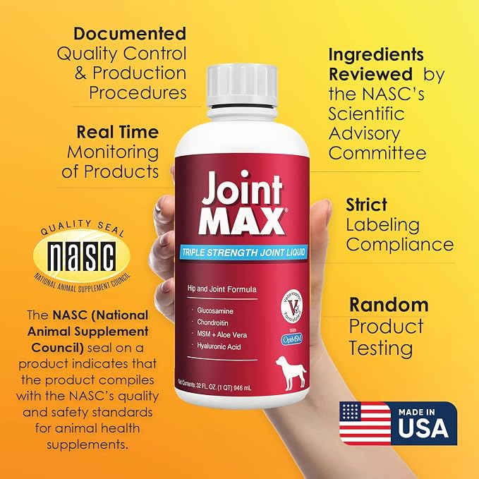 Liquid for Dogs – Glucosamine Chondroitin MSM Hip & Joint Supplement Liquid with Organic Turmeric – All-Natural Dog Joint Support Oil for Mobility, Arthritis, Skin & Coat – 32 fl oz