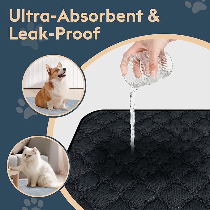 FunFurry Washable Pee Pads for Dogs - 2 Pack Reusable Pee Pads，Waterproof Puppy Pads，Pet Training Pads，Super Absorbent with Dog Paw Shape Non-Slip Backing (Dark Grey, 24" X 24" - 2 Pack)