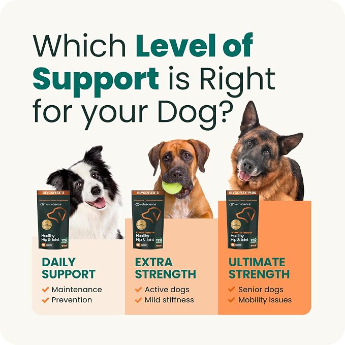 VetriScience Extra Strength Healthy Hip & Joint Chews, GlycoFlex Glucosamine & Green-Lipped Mussel Support Supplement for Dogs, Promote Mobility & Soothe Joint Discomfort, Chicken, 3 Pack