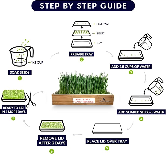 Cat Grass Refills for Self Watering Cat Grass Kit - 4 Mats and 4 Cat Grass Seed Packets (Refill Kit)