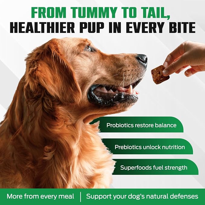 K10 Probiotic Chews for Dogs (10ct) – Advanced Digestive Support with Probiotics, Prebiotics & Superfoods – Vet-Preferred Dog Supplement for Digestion, Immunity, Skin, Coat & Everyday Vitality