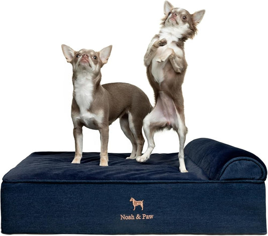 NOAH & PAW Dog Bed, 28x23x7.5 Inch, Orthopedic Dog Beds for Medium Size Pets, Eggshell Memory Foam Infused with Cooling Gel, Water Resistant, Machine Washable, Includes Inner Cover (Denim Collection)